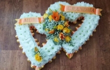 20200218_190708_501x480 20200218_190708_501x480