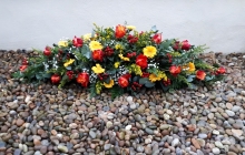 20210113_163150 20210113_163150