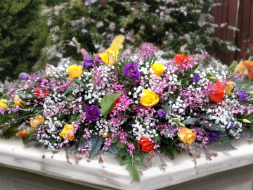 SmartBG_2026-01-13_dce79fa2-7d0d-462b-8415-d78560666348