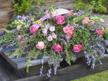 SmartBG_2026-01-19_c62ab044-e748-4ad8-9b6b-ab6260e2f008