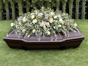 SmartBG_2026-03-02_5464999b-5ecd-498a-9d17-df2bf36d5e85