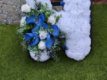 SmartBG_2026-03-02_ca73c240-a473-4ac0-b2e9-3309f916b027