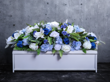 SmartBG_2026-03-09_89366ff6-f016-4714-9e22-311324c178bb